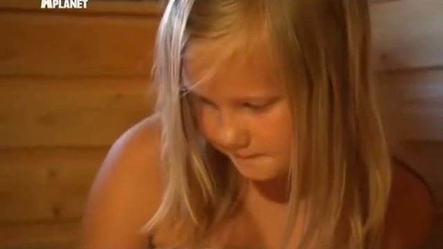 кошка - Европейская короткошорстная смотреть онлайн