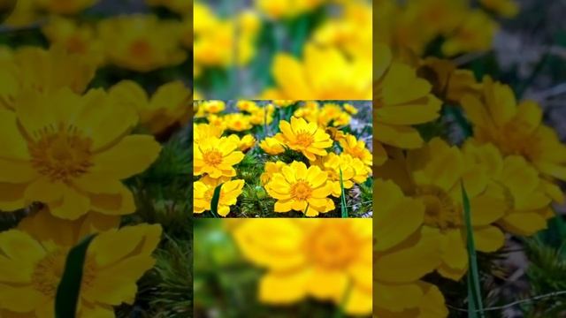 Именины у Людмилы!