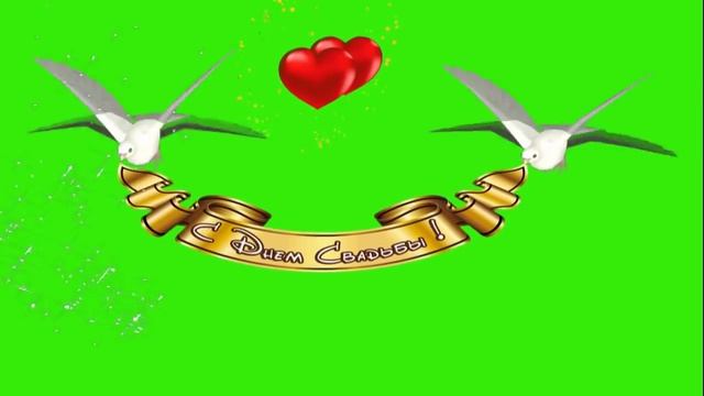 Скачать футаж С Днём Свадьбы голубихромакей смотреть онлайн