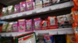 24 ЧАСА ВЫЖИВАЕМ НА УЛИЦЕ НА 100 РУБЛЕЙ С КОТОМ И СОБАКОЙ