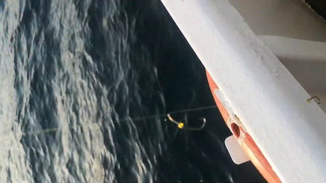 шикарная компания, и рыбалка Геленджик. смотреть онлайн