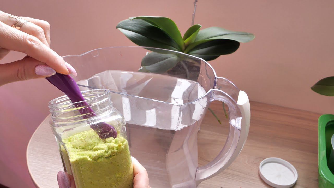 "Полив С УДОБРЕНИЯМИ или БЕЗ" Что? КОГДА? Почему? ОБЪЯСНИТЕ!!! ПОКАЖУ, СМОТРИМ. смотреть онлайн