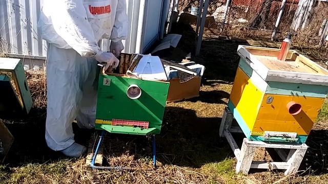 Частичный осмотр в хорошую погоду. смотреть онлайн