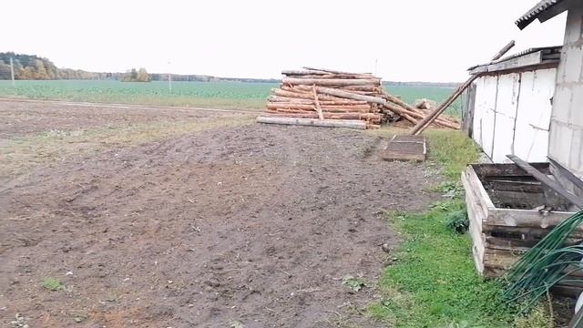 Покупка кроликов из г. МИНСКА, обзор хозяйства смотреть онлайн