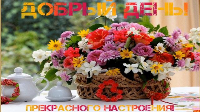 Хорошего утра, доброго дня! Прекрасного летнего настроение ! смотреть онлайн