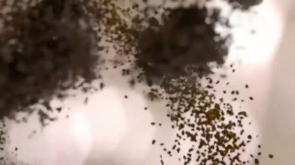 Реклама Jacobs Monarch Millicano: Ресторанный критик