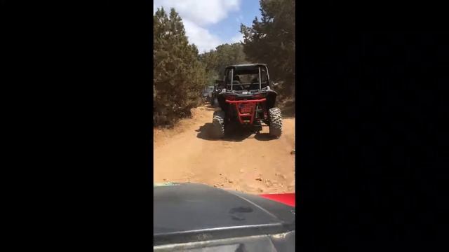 Buggy Polaris RZR 1000 and Arctic Cat смотреть онлайн