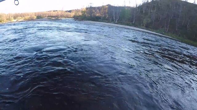 Семга на спиннинг. р. Ура смотреть онлайн