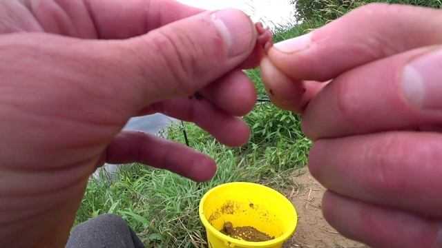 ФИДЕР!!! ОСНОВНОЕ ПРАВИЛО для ХОРОШЕГО РЕЗУЛЬТАТА!!! смотреть онлайн