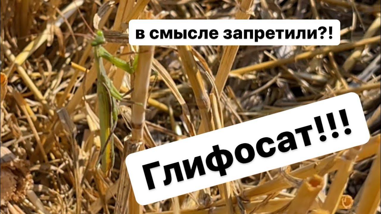 Глифосат. Мой опыт работы. смотреть онлайн