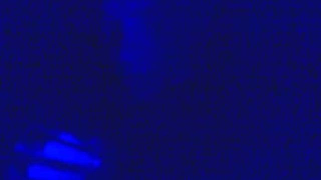01082008041 смотреть онлайн