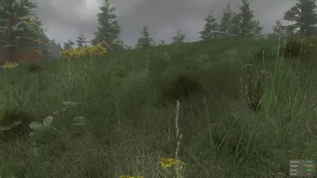 H1Z1 Прохождение На Русском #3 — НАШЛИ ТАЧКУ смотреть онлайн