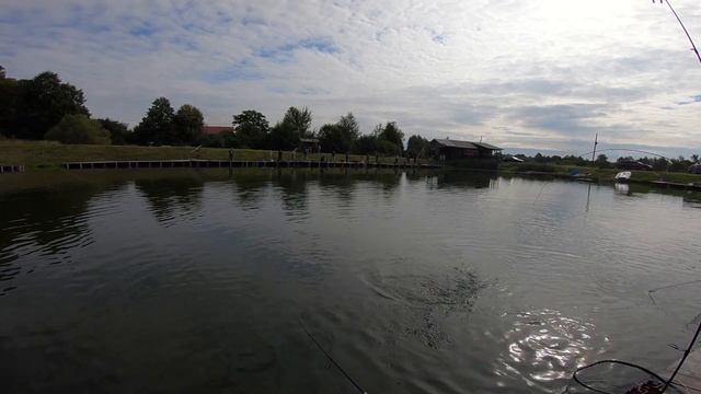 Сытый кот. Рыбалка. смотреть онлайн