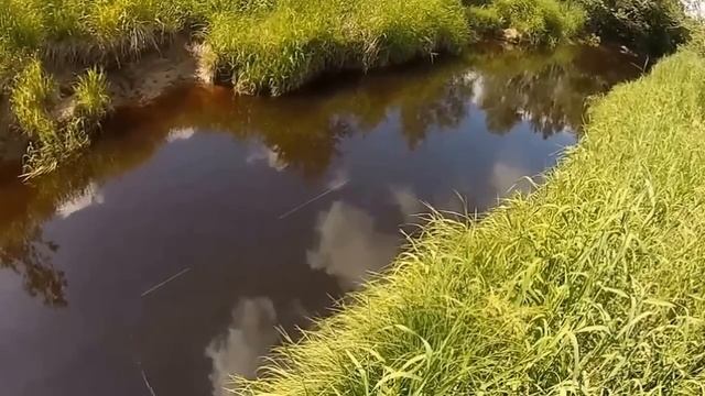 Спиннинг на малой реке: ловля щуки в июле смотреть онлайн