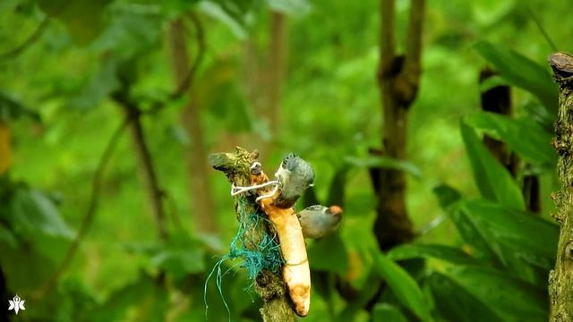 Красивая расслабляющая музыка ? Исцеление стресса, беспокойства и депрессивных состояний тела смотреть онлайн