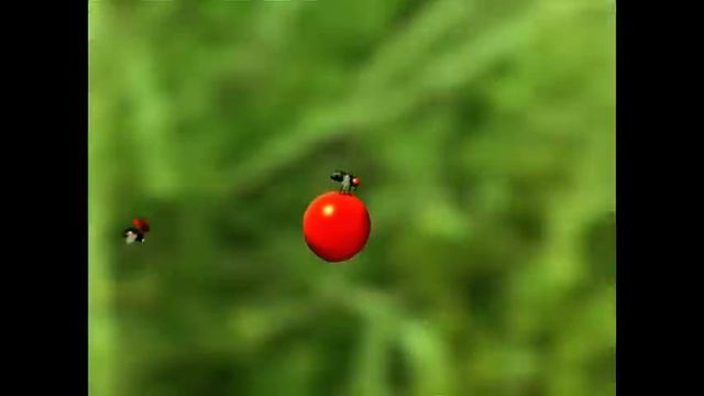 Minuscule - Cherry Tomato смотреть онлайн