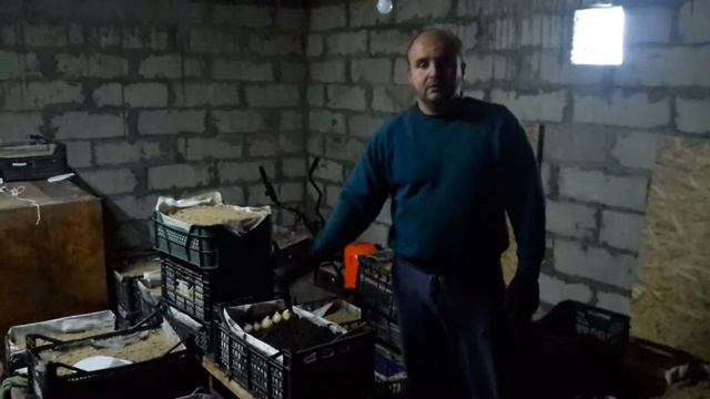 Коли правильно висадити тюльпани під 8 березня / Когда правильно сажать тюльпаны под 8 марта смотреть онлайн