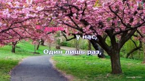 Один раз в год сады цветут   Анна Герман караоке