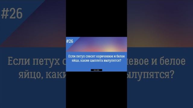 Петушиные яйца | мозговой вызов смотреть онлайн