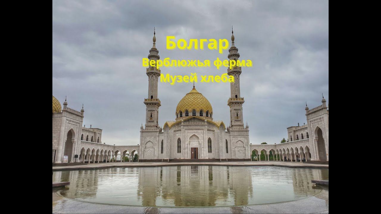 Поездка в Болгар / Музей хлеба / Верблюжья ферма смотреть онлайн