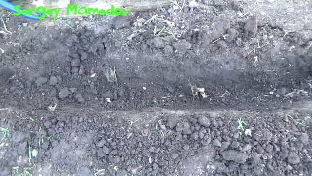 ➤ПОЛИВ. ПРОКЛАДКА ТРУБ. смотреть онлайн