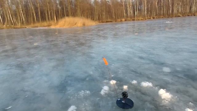 ТРОФЕЙНЫЕ ОКУНИ ЗИМОЙ!!! ОКУНЬ ГОРЯЧЕГО КОПЧЕНИЯ смотреть онлайн