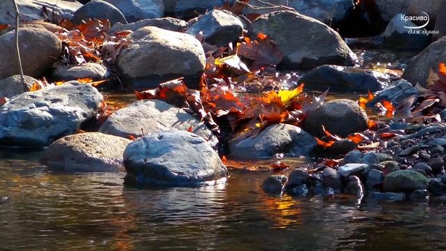 Как же невероятно красиво для души!.. Божественная Музыка и Сказочная осень золотая… смотреть онлайн