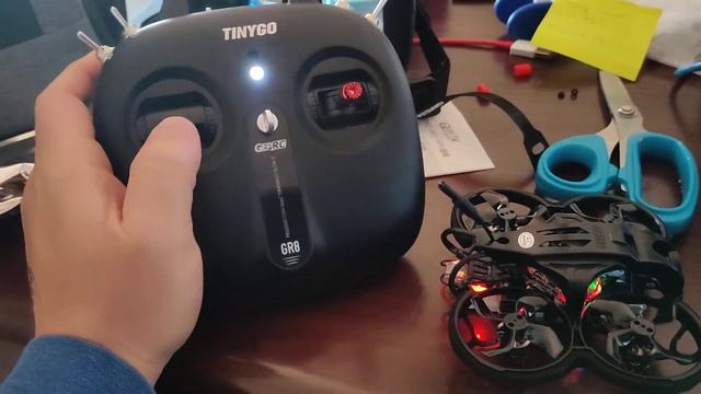 tinygo will not bind смотреть онлайн