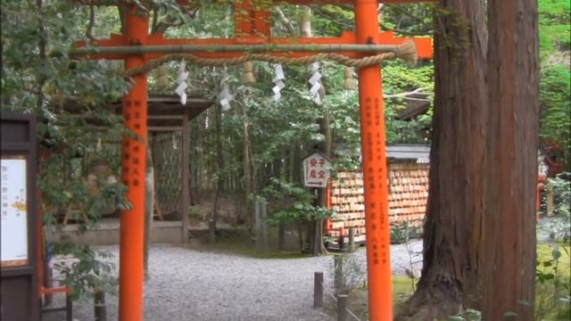 Arashiyama's Famous Bamboo Forest and the Nonomiya Shrine! смотреть онлайн
