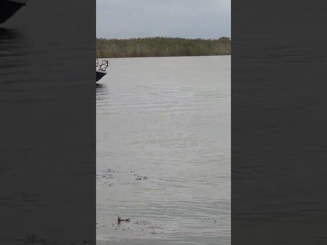 3uz-fe смотреть онлайн