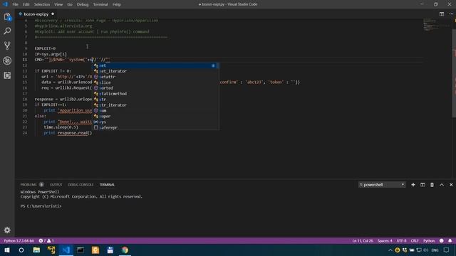 Practical Pentesting - How I Modify and Fire a Python RCE Exploit - AttackDefense Labs смотреть онлайн