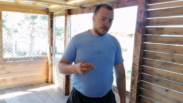 Московская сторожевая. Как научить собаку команде НЕЛЬЗЯ. Воспитание щенка | ПАПА В ДЕЛЕ смотреть онлайн