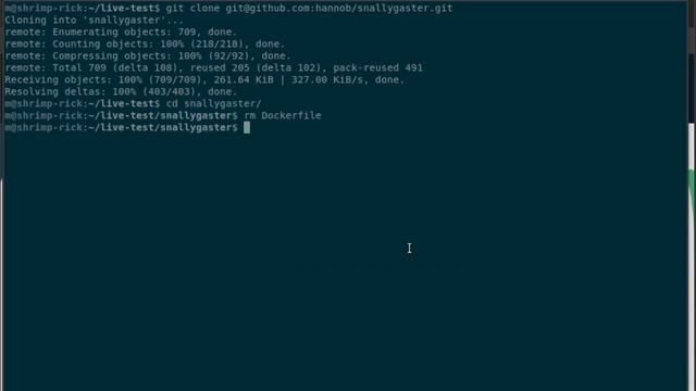 Dockerizing Python "Snallygaster" app for FREE! смотреть онлайн