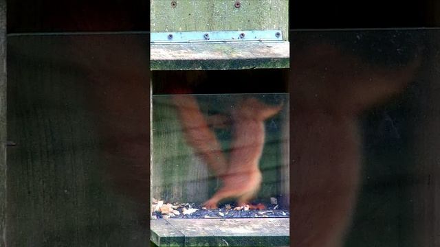 ЦЕНТР ПРИРОДЫ