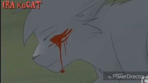 Коты воители : Белогривка и Остролап • эти роли не для нас•