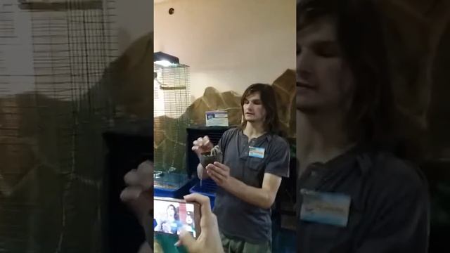 Я в трошотельном злопарке смотреть онлайн