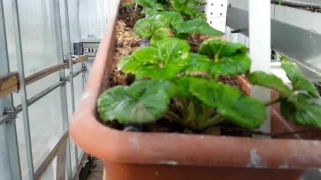 СтройХакер