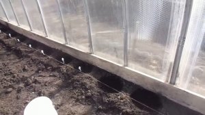 ГОТОВЛЮ ТЕПЛИЦУ К ВЫСАДКЕ ТОМАТОВ. Ольга Чернова.