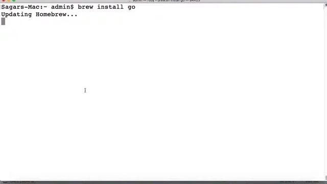 How to install jython, kotlin, go, clojure in mac | check version смотреть онлайн