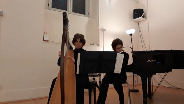 'O sole mio - Flauto e Arpa celtica смотреть онлайн