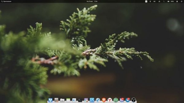 Опыт использования Elementary Os 5.0 - Плюсы и минусы
