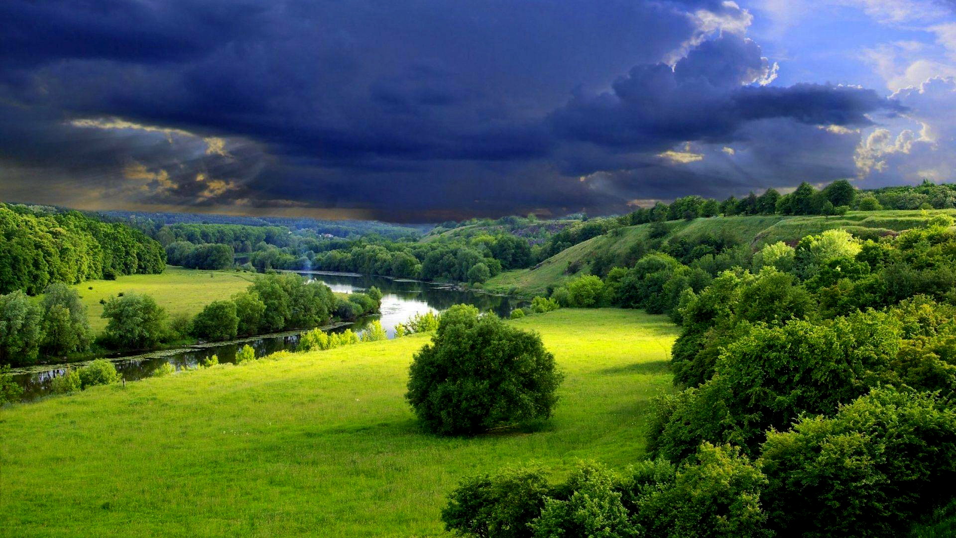 Светлая грусть