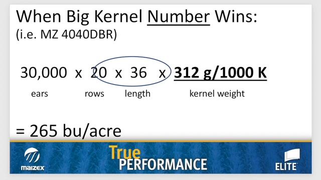 The Sharp Edge: Kernel weight, not test weight, key to understanding corn yield смотреть онлайн