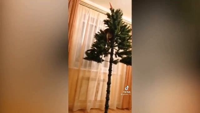ТИК ТОК 2022 (1) Happy new year / Новогодний ЛУЧШЕЕ смотреть онлайн