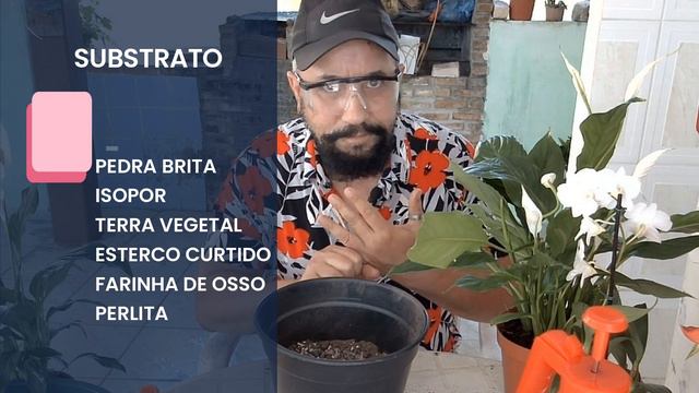 Bio Verbena - Olhai os Lírios do Campo! - De Olivia ao Sermão da Montanha! смотреть онлайн