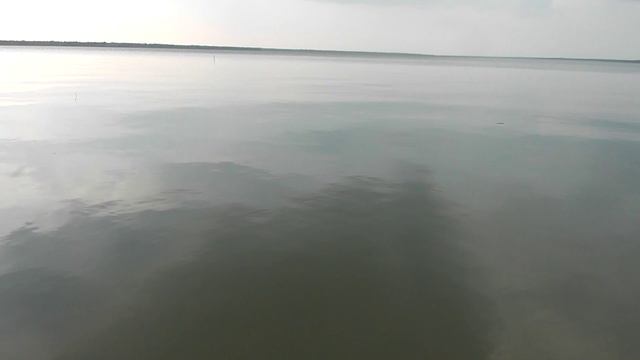 рыба 15.06.2024 смотреть онлайн