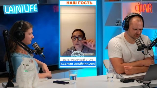 Стресс и его признаки у собаки, что нужно знать.