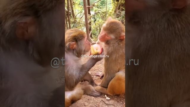 не жадный ни сколько смотреть онлайн