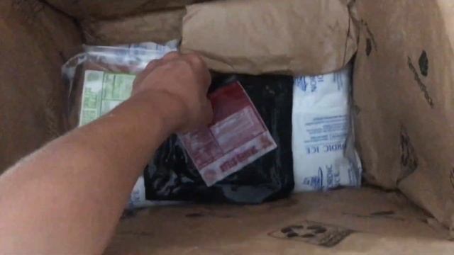 What I Eat In A Day | Healthy Meal Ideas! + Green Chef Review!