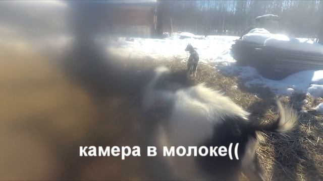 Новая коза - новые правила! смотреть онлайн